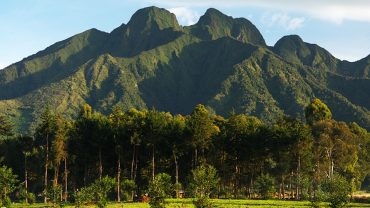 Exploration au Rwanda : Au-delà des Randonnées de Gorilles, Découvrez de Nouvelles Aventures en 2024