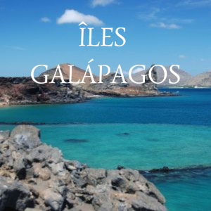 îles galápagos- voyages et souvenirs