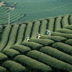 🌍✨ Circuit Vietnam : voyager autrement, en petit comité ! ✨🌍