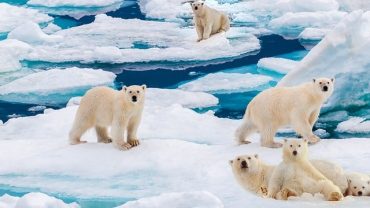  🌍❄️ Cap sur l’extrême Nord ! 🚢 